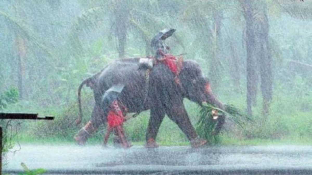 केरल में मानसून एक सप्ताह पहले पहुंचा. (PTI Photo)