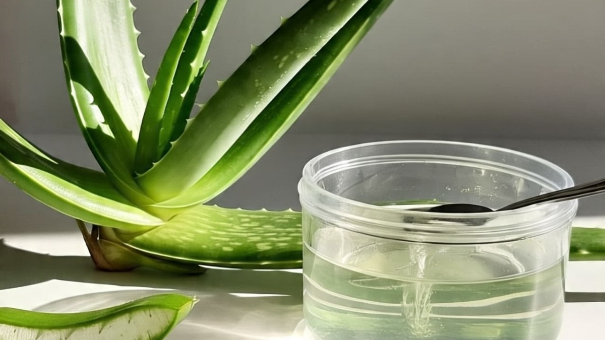 benefits of aloevera 