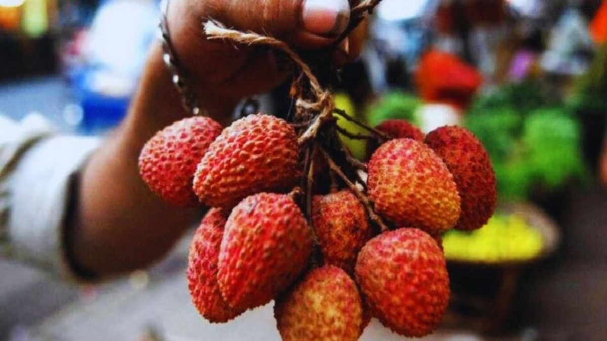 litchi