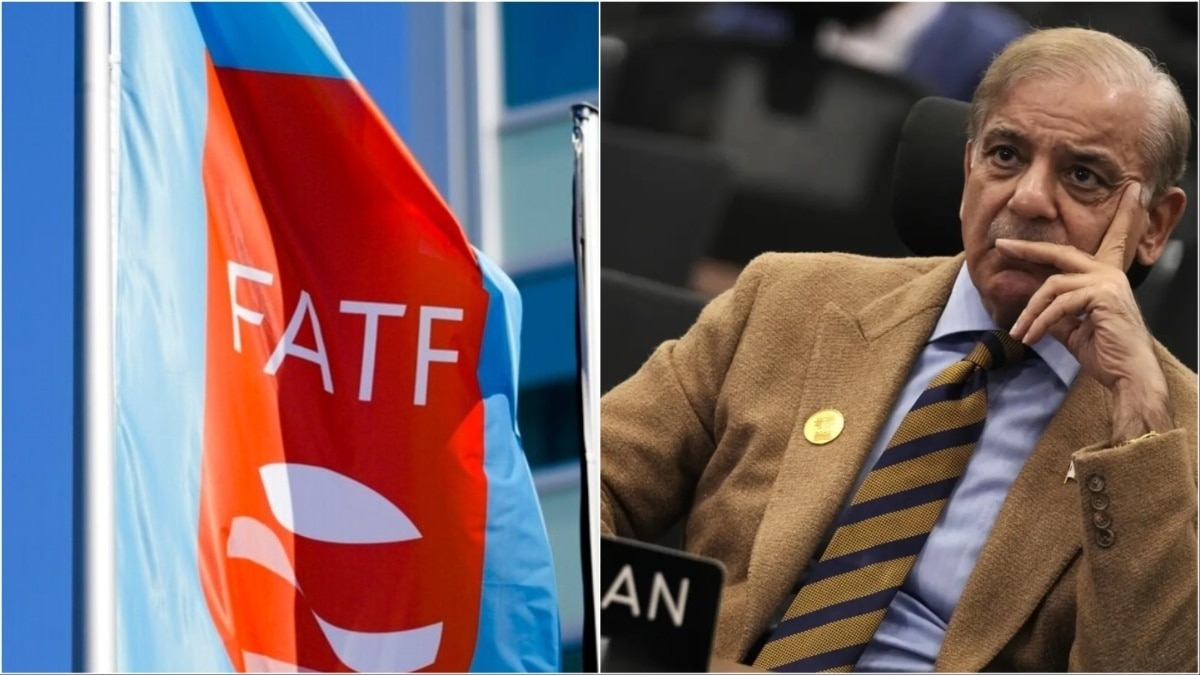 Shehbaz Sharif, FATF