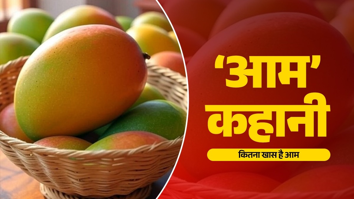 आम के लिए लेखक सोपान जोशी लिखते हैं कि यह फल अमीरी दिखाने का भी एक जरिया बन जाता है