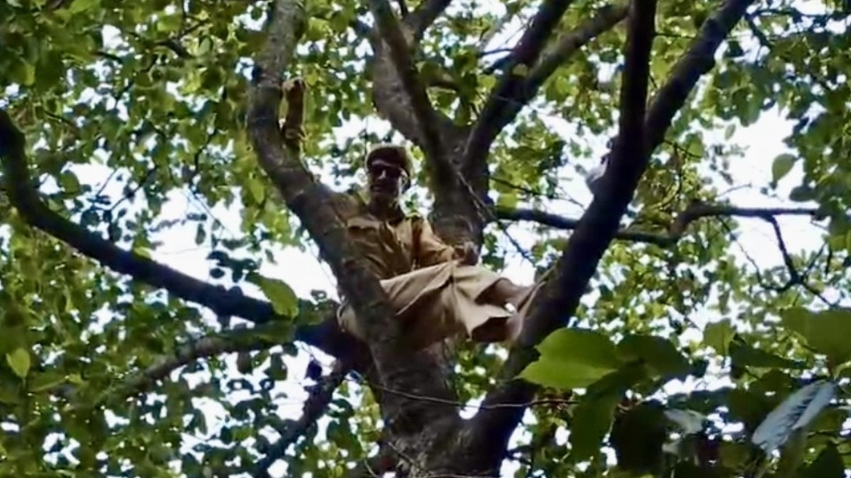 spo attempt suicide