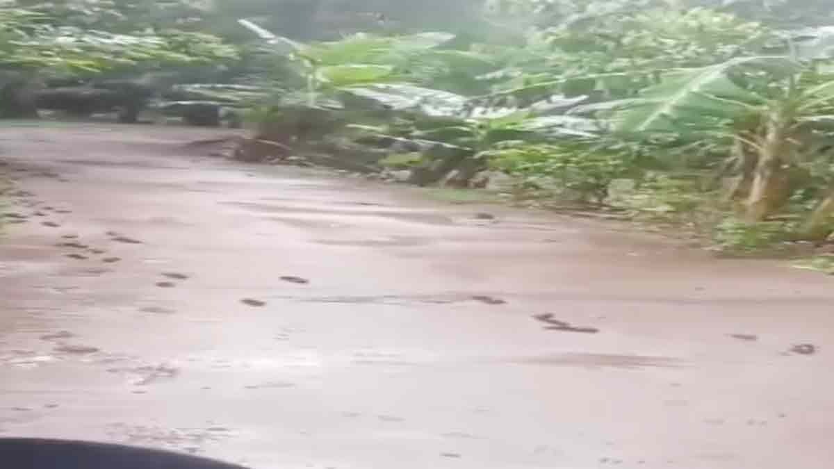 fish seen crawl and crossing a path has gone viral