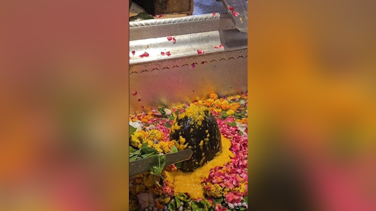 नौतपा पर बाबा विश्वनाथ का फलों के रस से अभिषेक