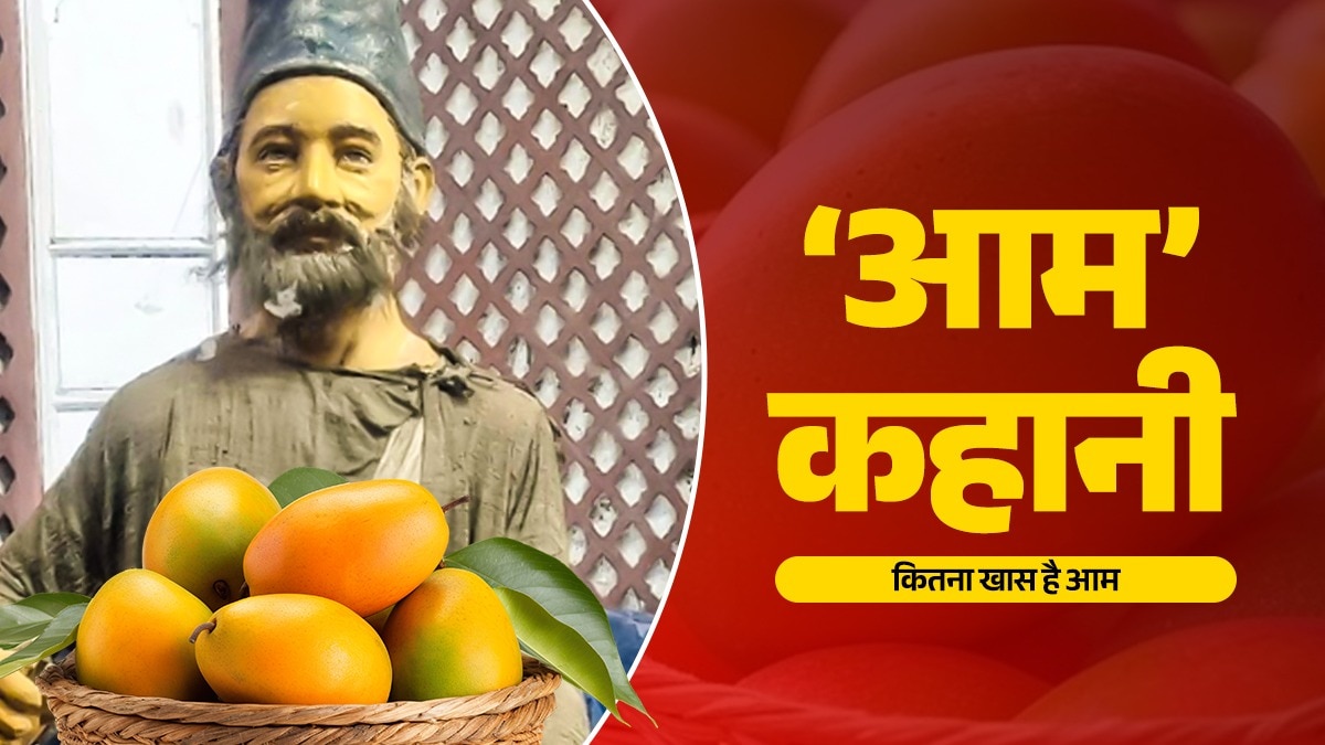 मिर्जा गालिब को आम बहुत पसंद थे. यह तस्वीर दिल्ली (चांदनी चौक) स्थित उनकी याद में बने स्मृति भवन से ली गई है