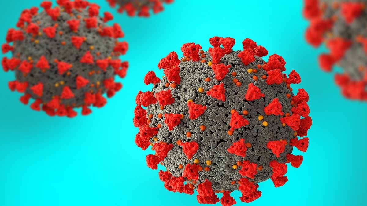 Do viruses ever die