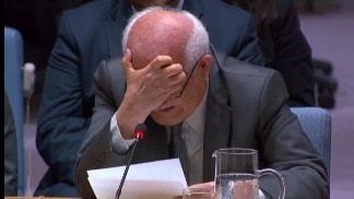 Palestinian Ambassador to the United Natio