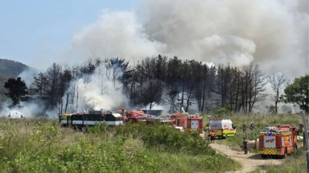 दक्षिण कोरियाई नेवी का प्लेन P-3 क्रैश, पोहांग के पास पहाड़ी इलाके में हुआ हादसा
