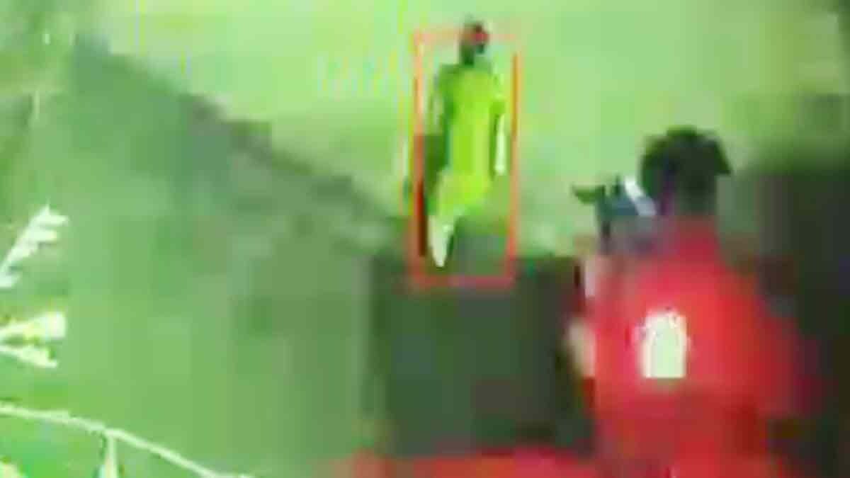 Terror of miscreants, snatched woman's purse and ran away