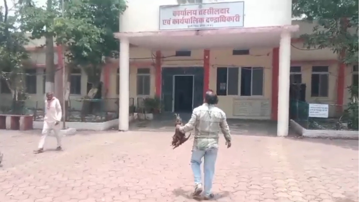 मरा मुर्गा लेकर तहसील कार्यालय में लगाई गुहार.