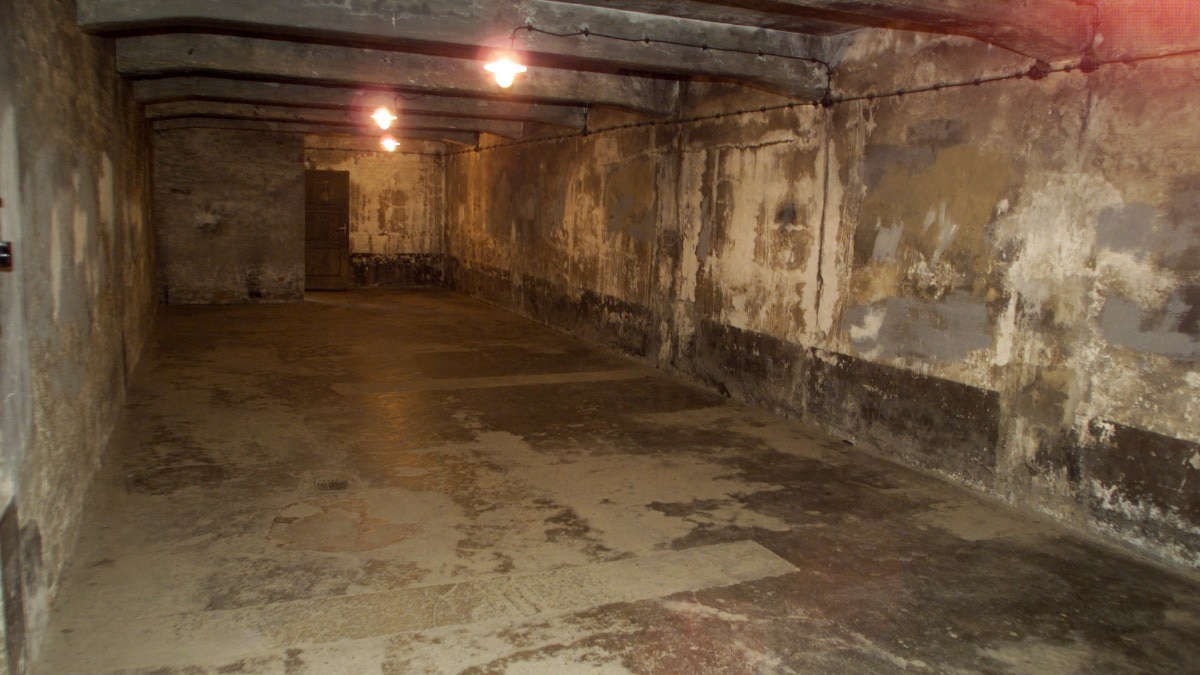  1940 में स्थापित ऑशविट्ज़ के यातना और मृत्यु शिविर में एक गैस चैंबर का दृश्य (AFP)