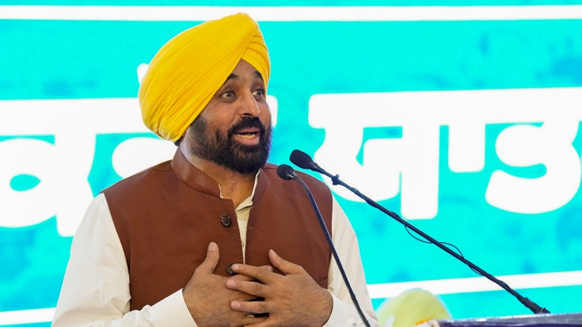 पंजाब के CM भगवंत मान (फाइल फोटो)