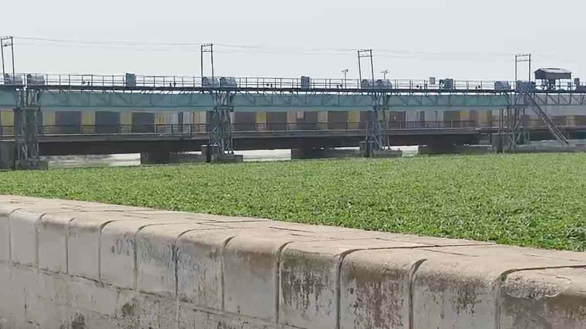 Water is not flowing towards Pakistan from Sutlej river, all the gates of Hussainiwala head are closed