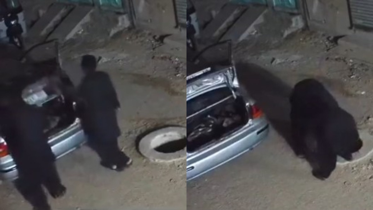  सड़क का मेनहोल चुराने लग्जरी कार से आया चोर