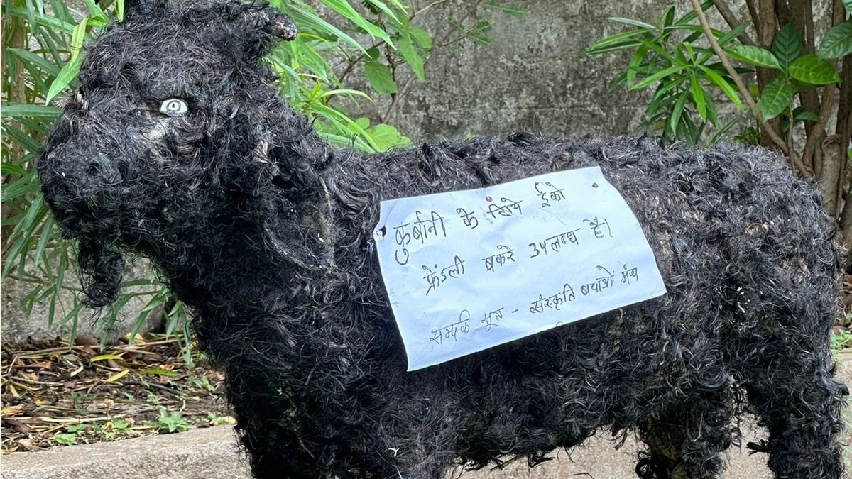 इको-फ्रेंडली बकरे को लेकर MP में छिड़ा विवाद.