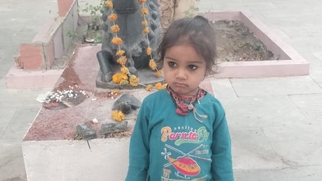 कुत्तों ने ली मासूम की जान
