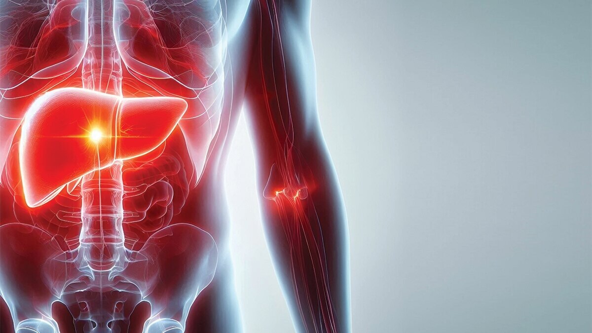 लिवर शरीर का सबसे अहम अंग है.