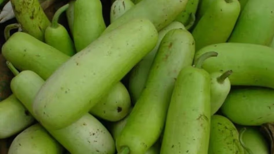 Ashgourd juice benefits: क्या आपने पिया है सफेद कद्दू, वेट लॉस से लेकर स्किन के लिए भी फायदेमंद