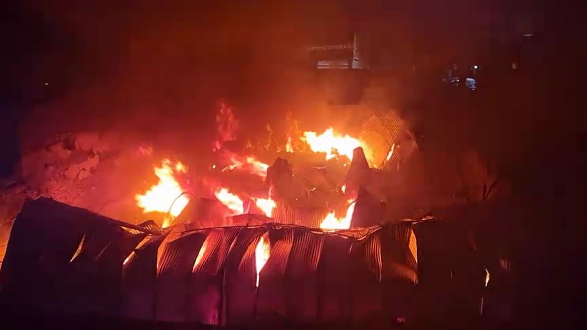 हरदोई में साड़ी की दुकान में लगी आग. (Screengrab)