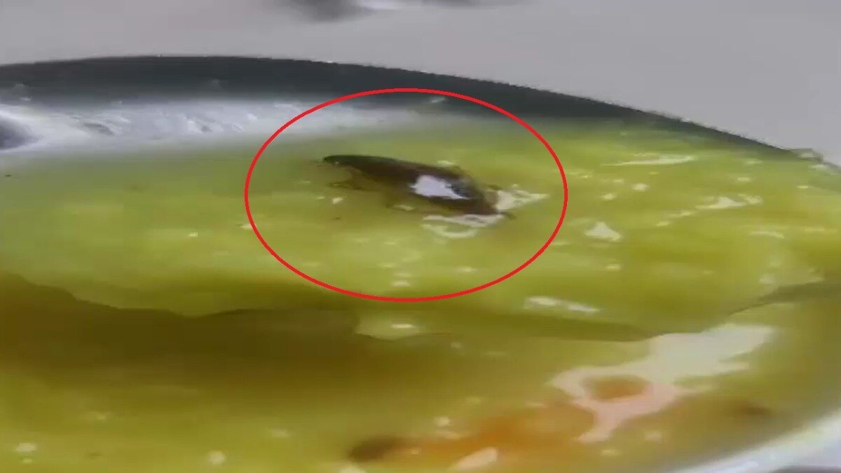 मरीज के खाने में निकला कॉकरोच