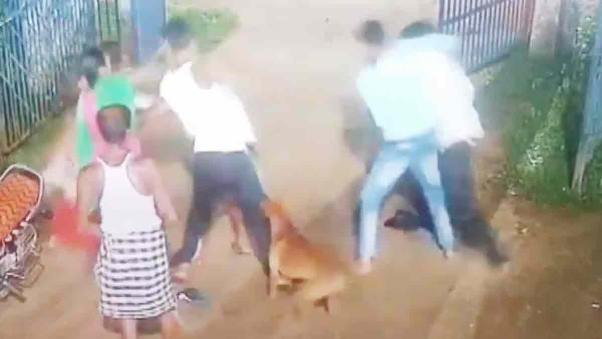 Police team attacked by pet dog, five arrested 