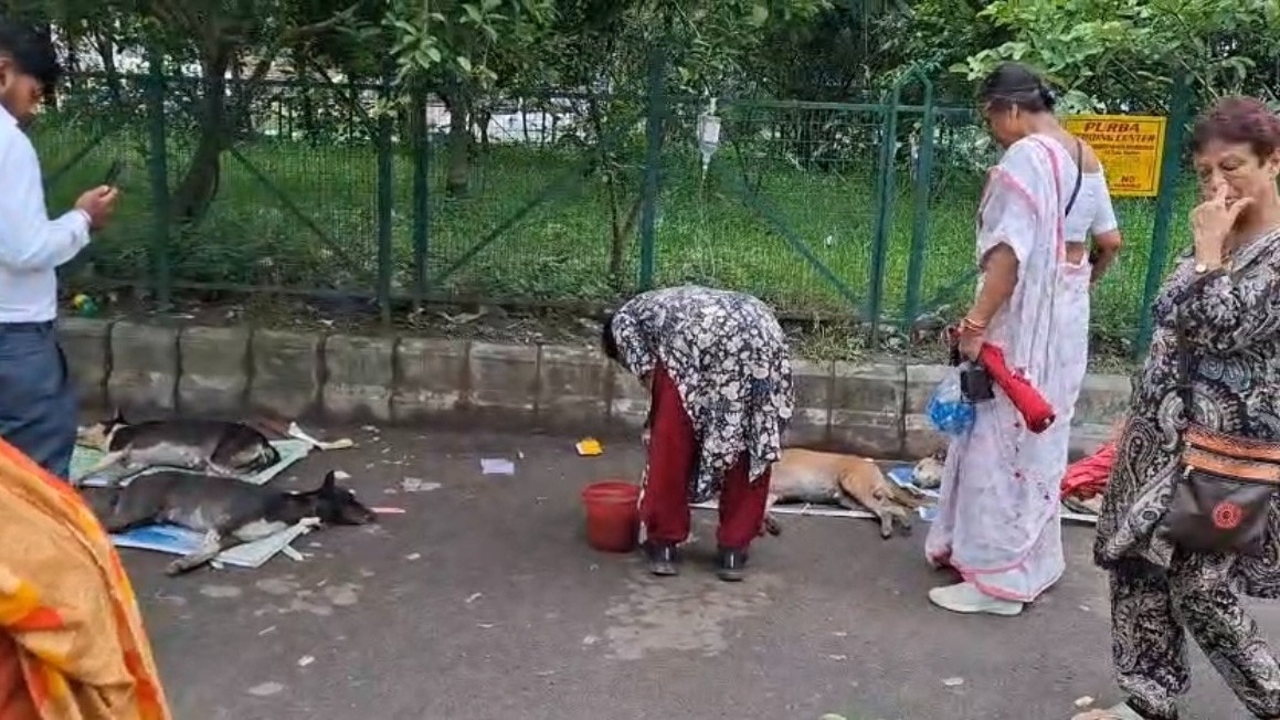 कड़ी कार्रवाई की मांग.