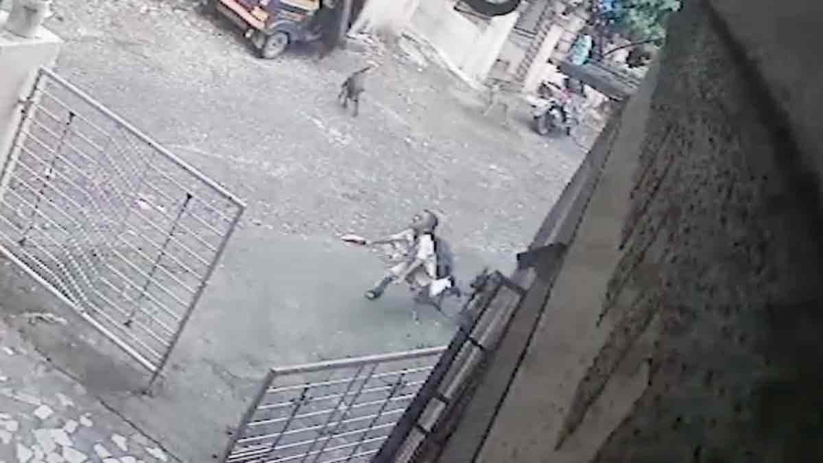 आवारा कुत्तों ने 6 साल के बच्चे पर किया हमला 