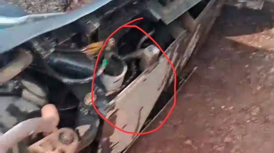 A poisonous snake hiding in the scooter