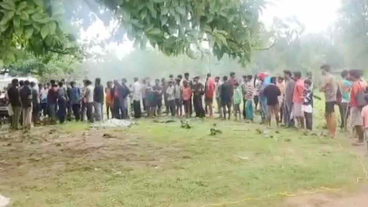  Wild elephant's rampage in Bokaro district 