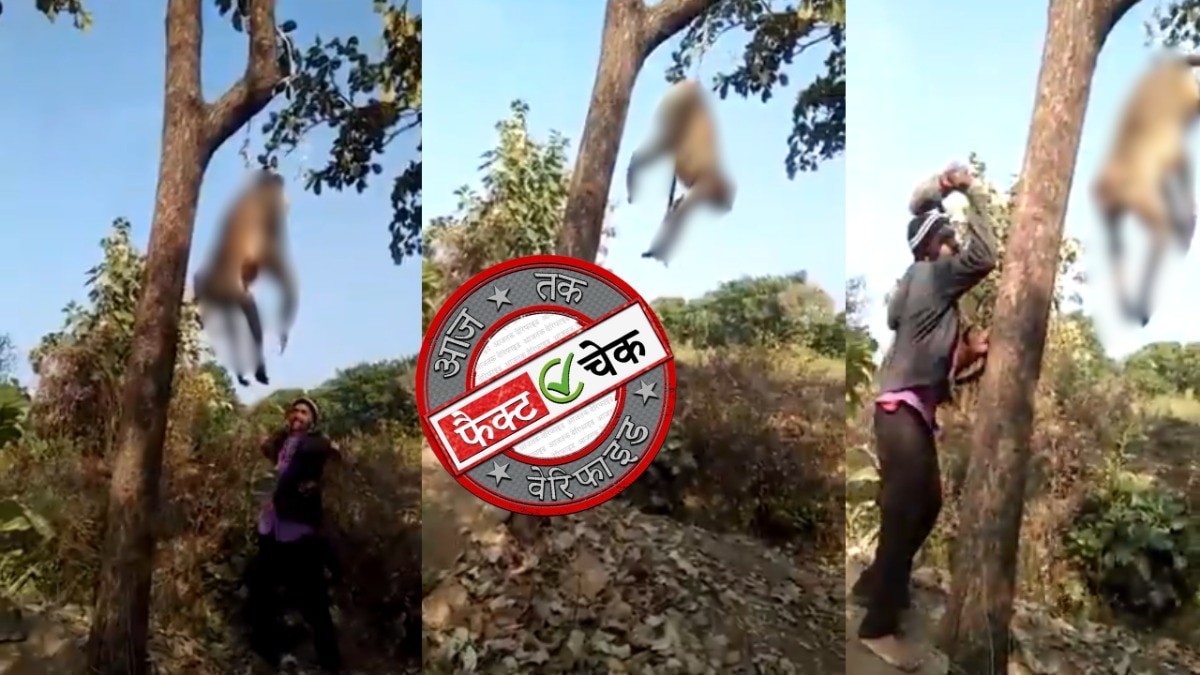 सोशल मीडिया यूजर्स