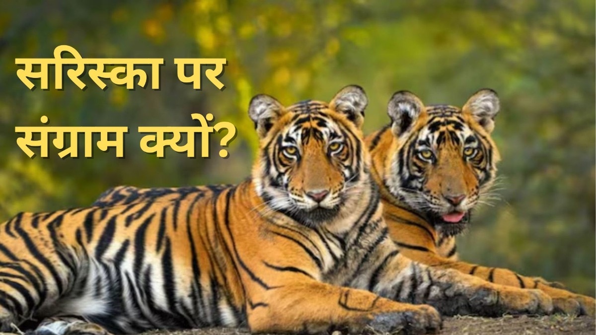 Sariska Tiger Reserve 