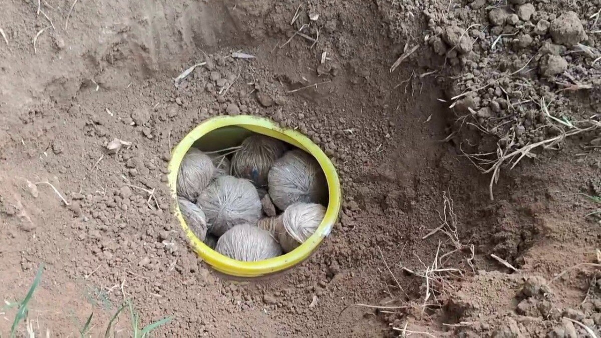 यह सांकेतिक तस्वीर है.