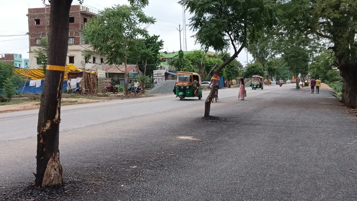 गया-जहानाबाद हाईवे.