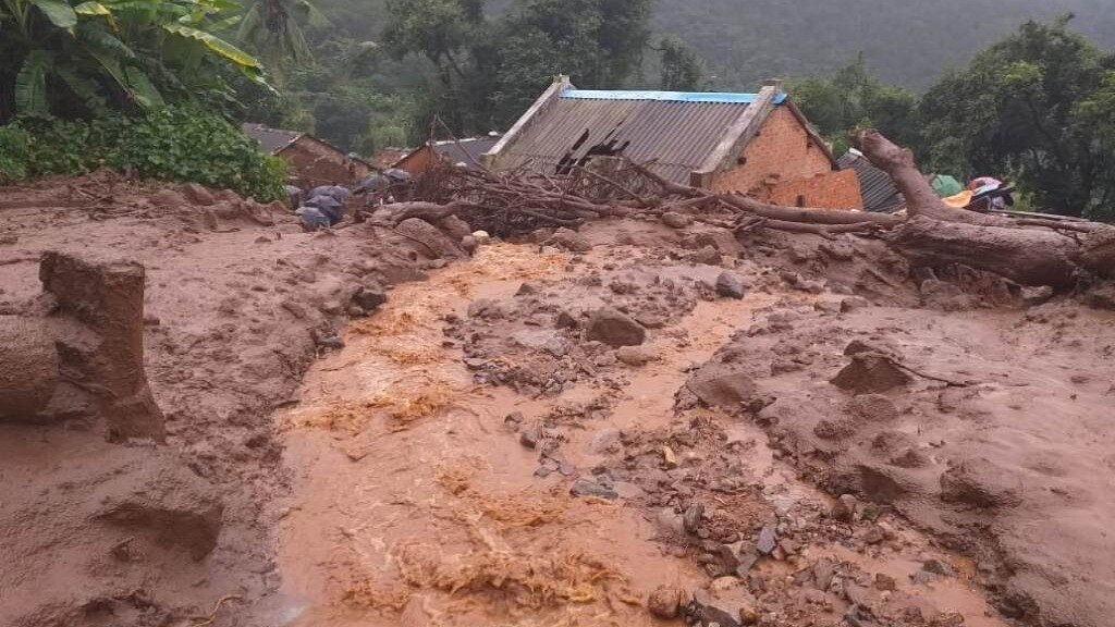 प्रतीकात्मक तस्वीर