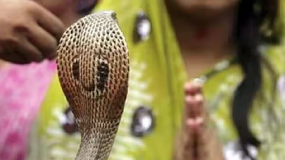 snake worship for Nag Panchami in Battis Shirala
