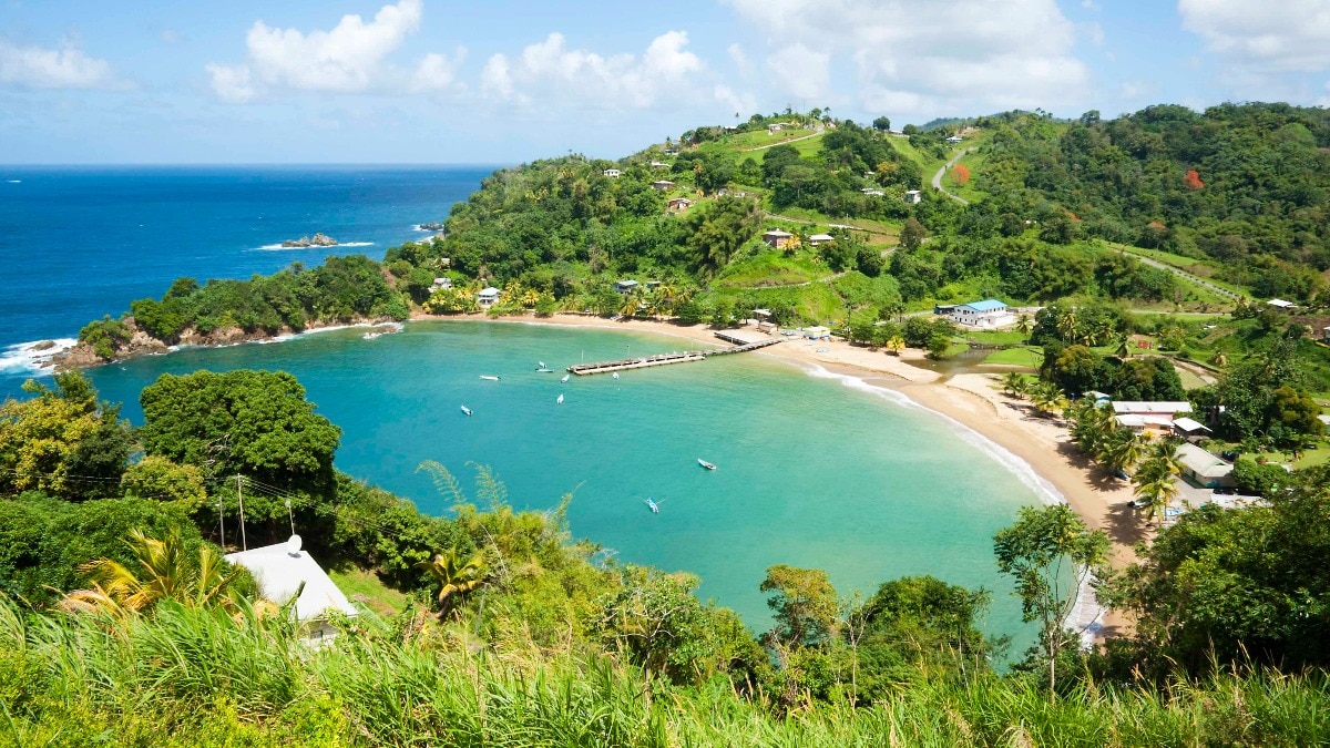 An overhead view of small fishing village on the north coast of Tobago