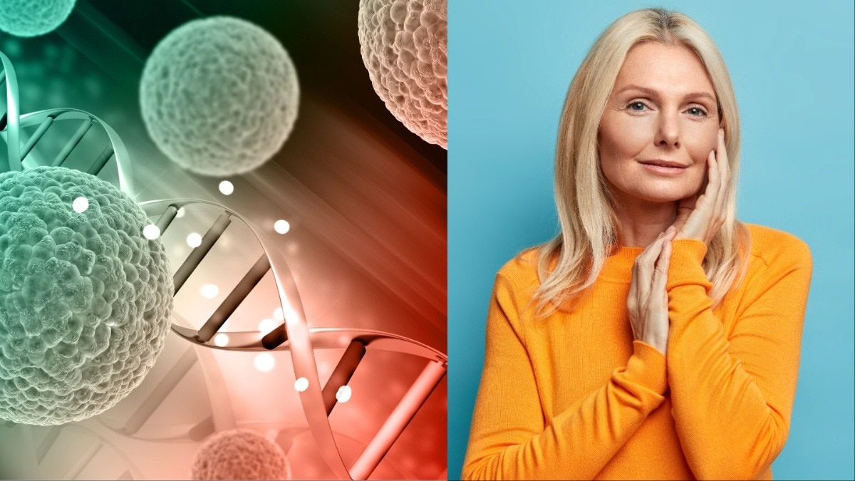 Scientists identify the protein