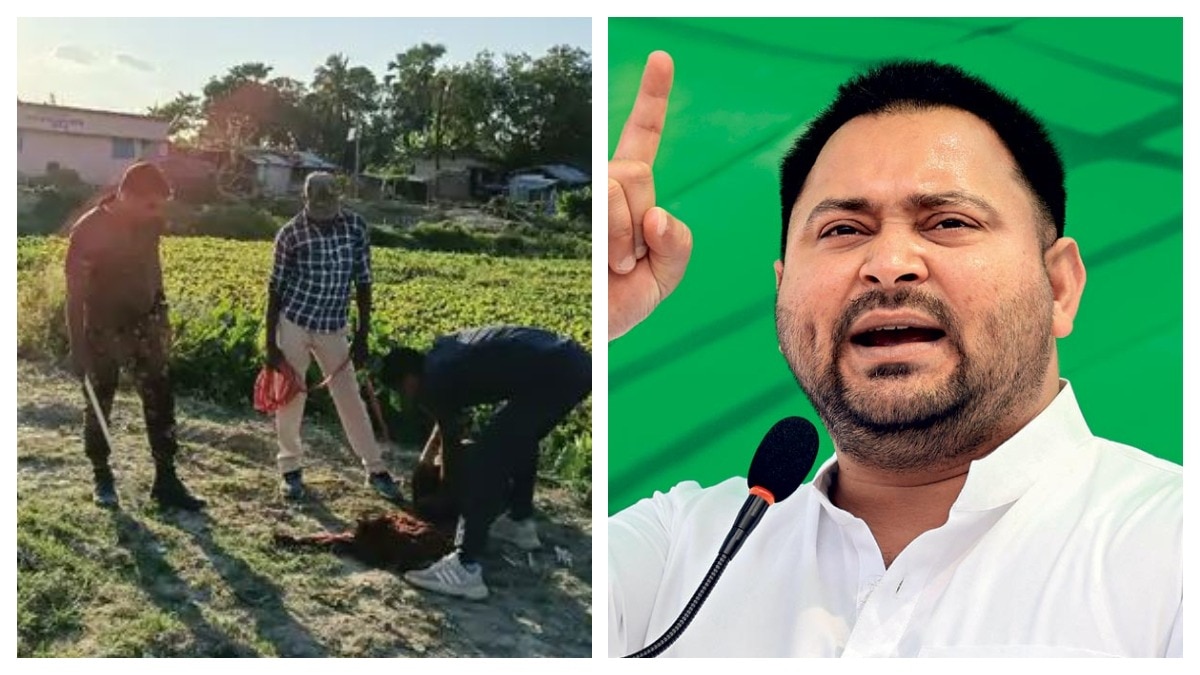 सीएम नीतीश पर बरसे तेजस्वी