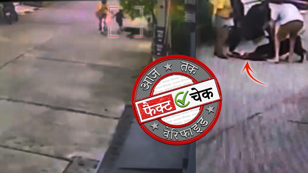 बच्चे पर कुत्ते के हमले का सीसीटीवी वीडियो वायरल