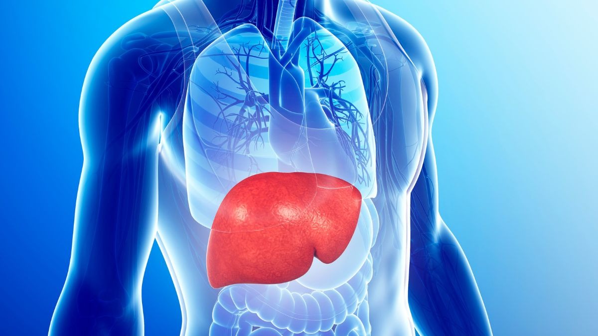 किडनी और लिवर के लिए जहर हैं ये 5 चीजें, सावधान रहने में ही आपकी भलाई – Health experts says These Things Are Poison for Your Kidney and Liver Causing Serious Damage tvisn किडनी और लिवर के लिए जहर हैं ये 5 चीजें, सावधान रहने में ही आपकी भलाई – Health experts says These Things Are Poison for Your Kidney and Liver Causing Serious Damage tvisn