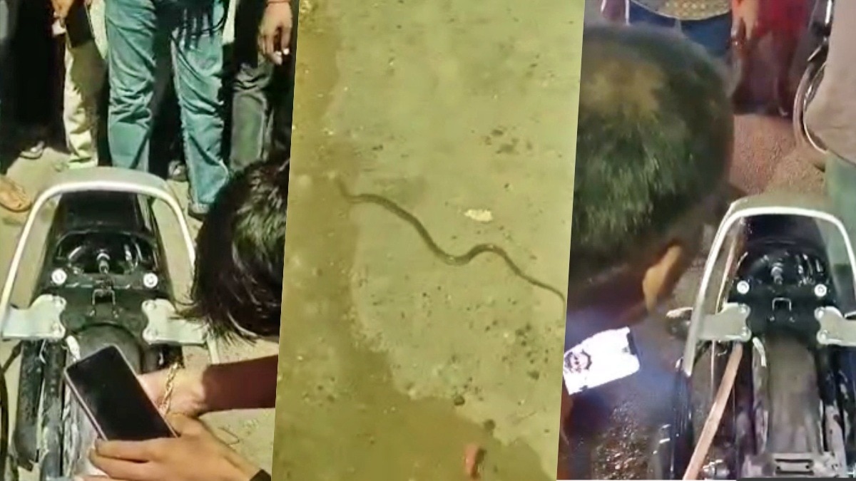 snake came out from a bike in Jhansi