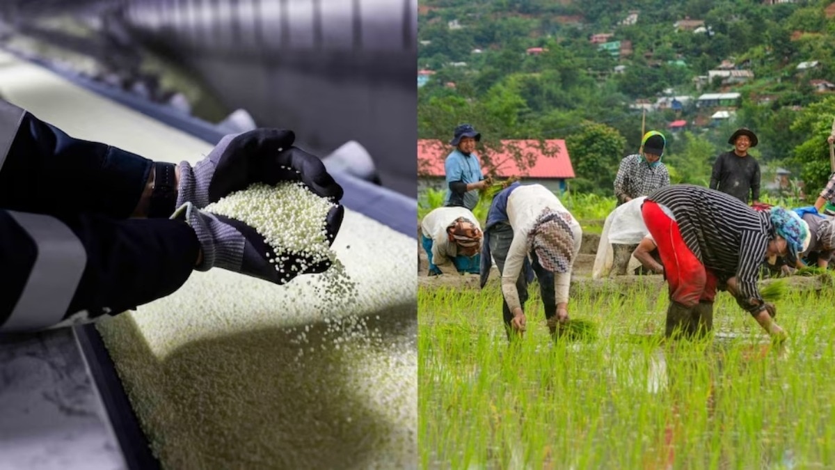 China Fertilizer