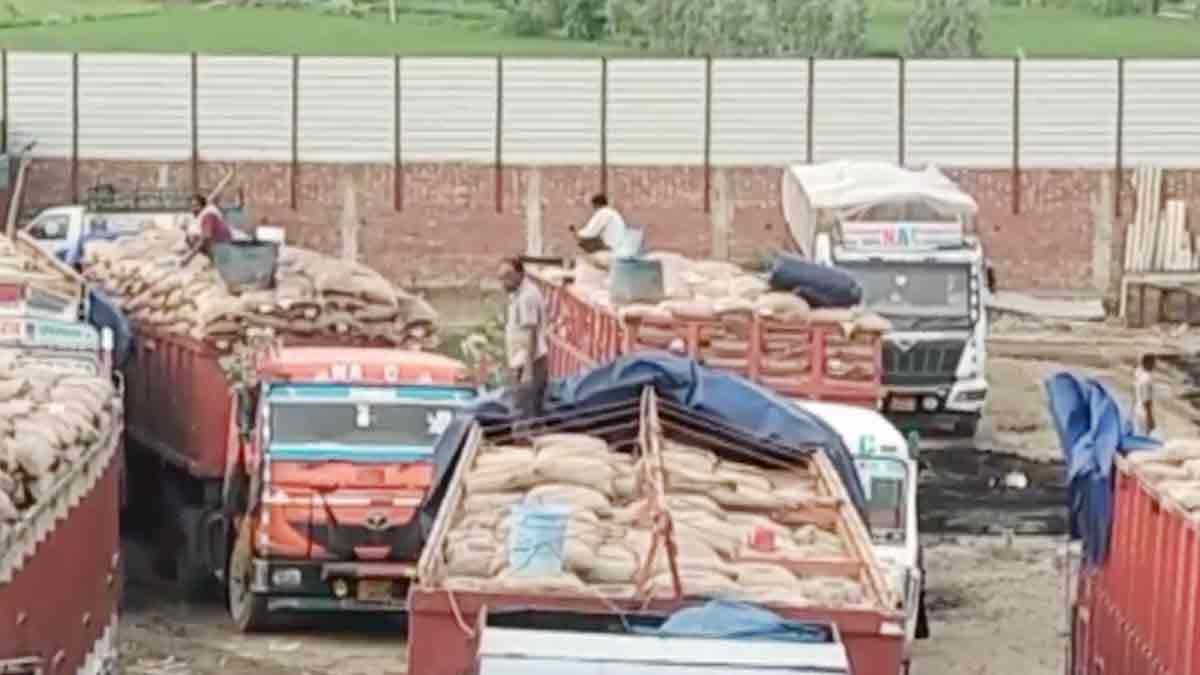  Government grain and rice mafia exposed 