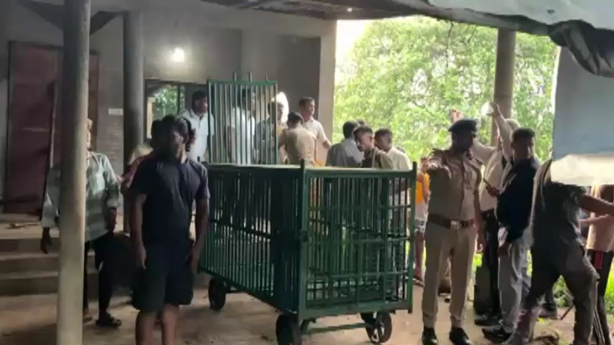 वन विभाग की टीम ने किया रेस्क्यू. (Photo: Screngrab)