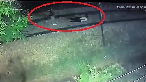 घटना CCTV में कैद. (Photo: Screengrab)