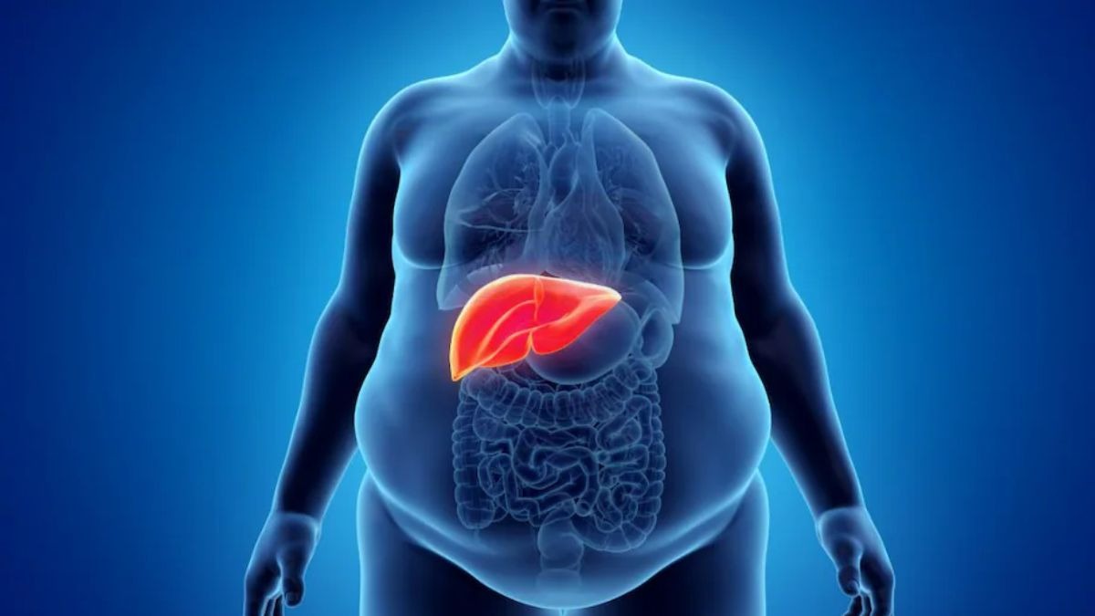 Liver (Photocredit: Getty Images)
