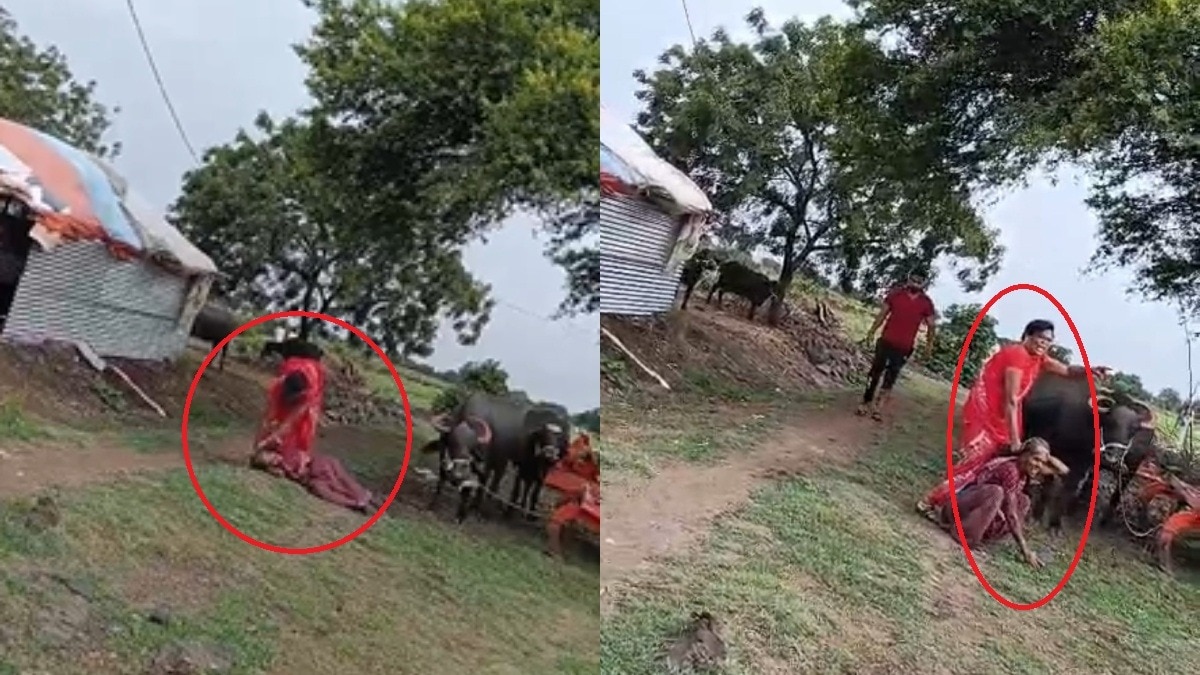 बुजुर्ग महिला पर हमला. (Photo: Screengrab)