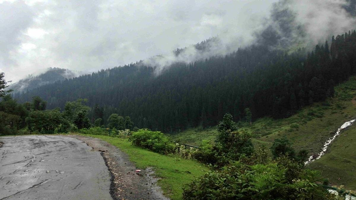 मंडी के जंगल में रास्ता भटके 3 पर्यटक और 1 स्थानीय युवक- (File Photo: ITG)