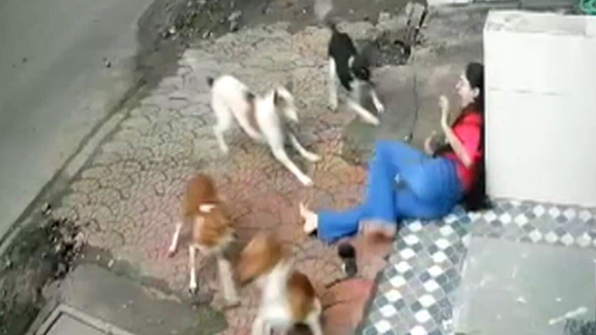 कुत्तों के हमले में जख्मी हुई कॉलेज छात्र.(Photo:Screengrab)