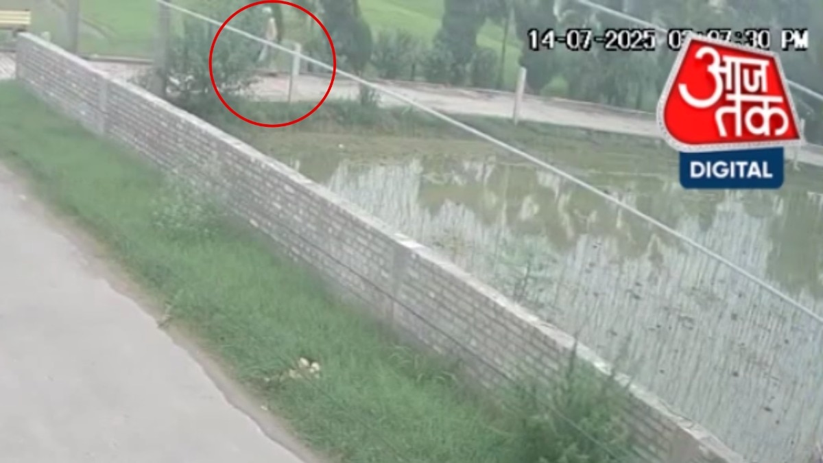 फौजा सिंह की मौत के पहले की CCTV फुटेज (Photo: ITG)